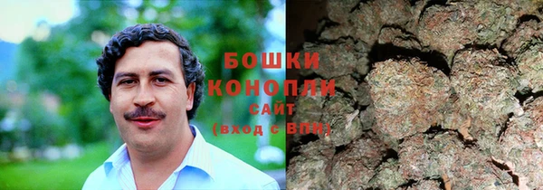 гашик Богородицк