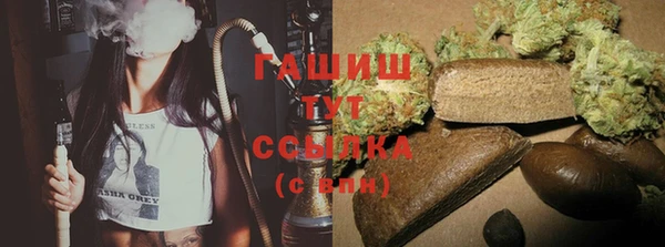 спиды Горняк