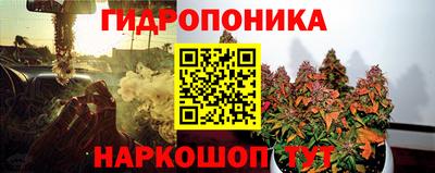 MESCALINE Гай