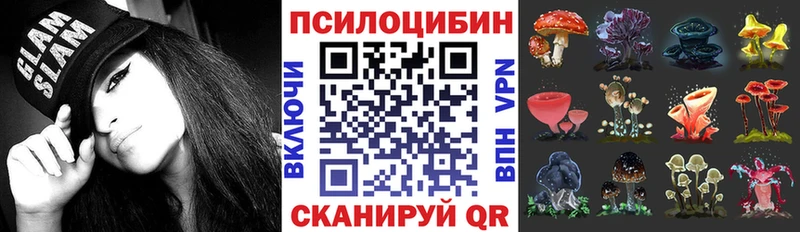 Псилоцибиновые грибы мицелий  Кувандык 