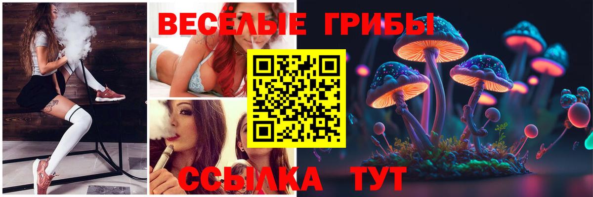 Галлюциногенные грибы GOLDEN TEACHER Кувандык