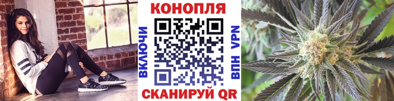 Каннабис MAZAR  Кувандык 